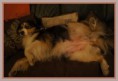 /album/fotogalerij-nieuws/missy-7-weken-drachtig-005-jpg/